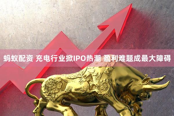 蚂蚁配资 充电行业掀IPO热潮 盈利难题成最大障碍