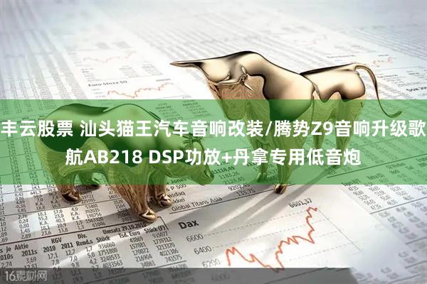丰云股票 汕头猫王汽车音响改装/腾势Z9音响升级歌航AB218 DSP功放+丹拿专用低音炮